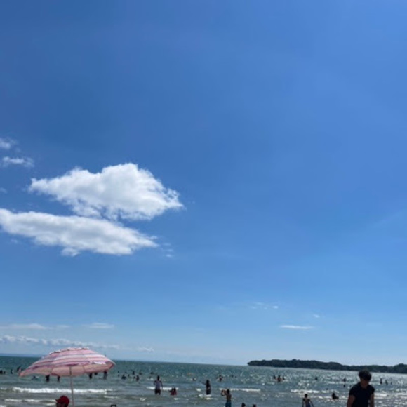 Meet your Posher, Laila - Picture 1 of 1